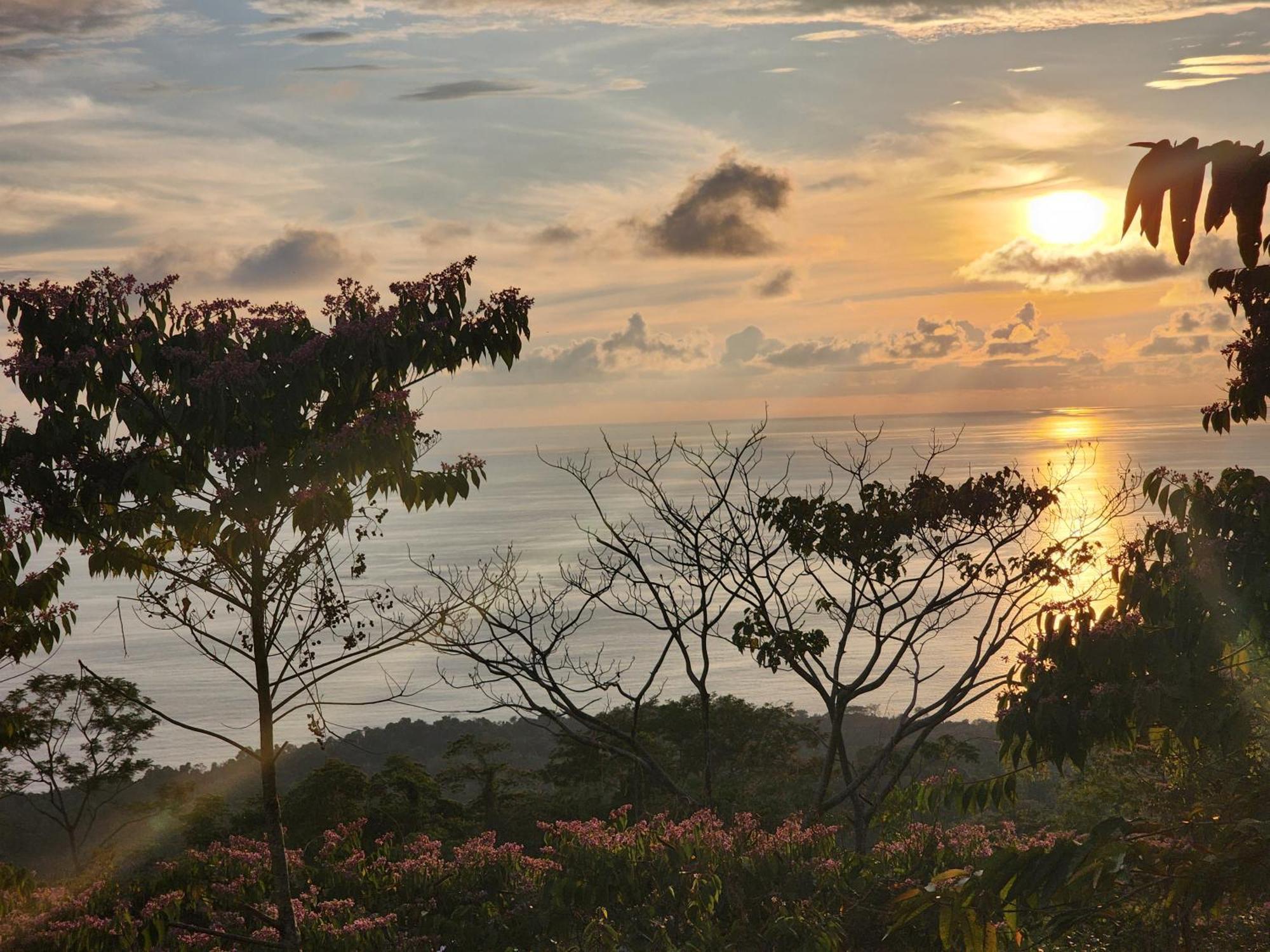 Canavida Villas & Resort Uvita Exteriör bild
