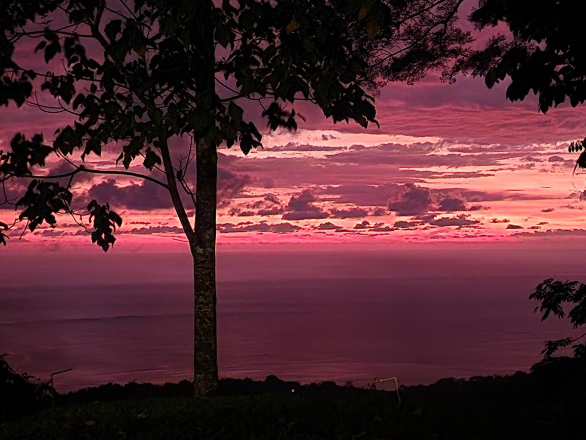Canavida Villas & Resort Uvita Exteriör bild
